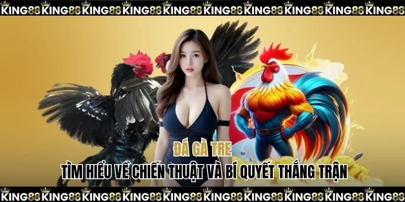 Đá gà tre